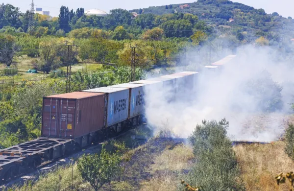 Ker je zagorelo na skoraj ravnem delu proge, poznavalci domnevajo, da je ogenj zanetila pokvarjena zavora pod enim od 
vagonov.