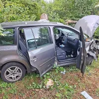 Družina s Kosova je po izvozu z avtoceste končala v drevesu.