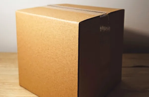 Svetujejo, da ne plačujete odkupnin za nenaročene pakete