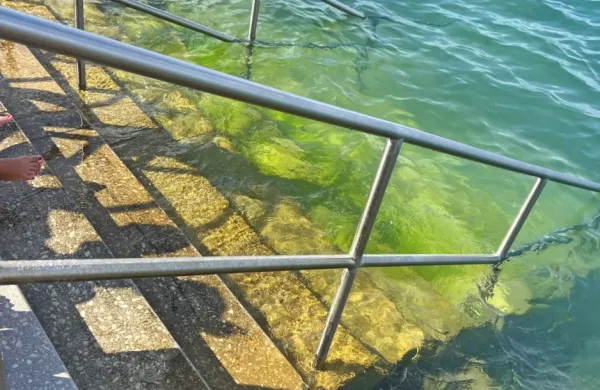 Kopalci v Žusterni opozarjajo na spolzke stopnice, upravljalec 
čiščenje napoveduje v prihodnjih dneh.