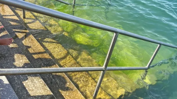 Kopalci v Žusterni opozarjajo na spolzke stopnice, upravljalec 
čiščenje napoveduje v prihodnjih dneh.