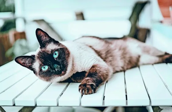 Fotografija je simbolična.