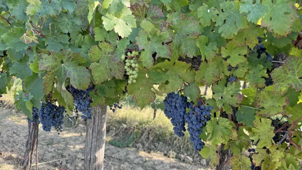 Obetajo se precej hladnejši dnevi, kot smo jih bili vajeni še minuli 
teden. 