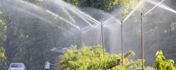 Brez namakanja bo pridelava hrane v bodoče zelo ogrožena.