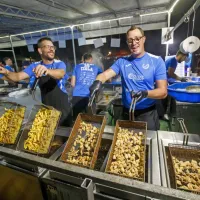 Tradicionalni Ribi&scaron;ki praznik postregel z glasbo in kulinaričnimi dobrotami (FOTO)