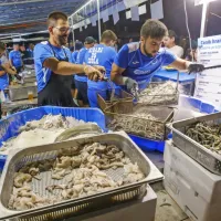 Tradicionalni Ribi&scaron;ki praznik postregel z glasbo in kulinaričnimi dobrotami (FOTO)
