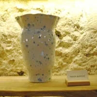 V Vipavskem Križu odprli razstavo keramičnih vaz (FOTO)