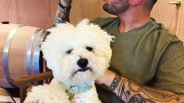 Avgustovska tradicija Dejana Dogaja: teden dni v Gori&scaron;kih brdih