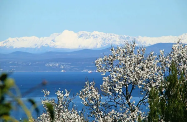 

Države EU, ki so tudi pogodbenice Alpske konvencije, lahko 
določene energetske vire izvzamejo iz prednostnih določb ali pa 
lahko  gradnjo naprav za proizvodnjo obnovljive energije v posebej 
zaščitenih območjih oprostijo izrednega javnega interesa. 