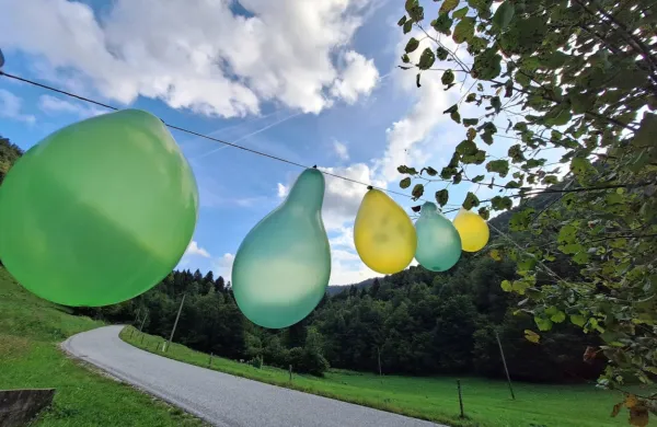 V nedeljo se vrača poletje, napovedujejo vremenoslovci.
