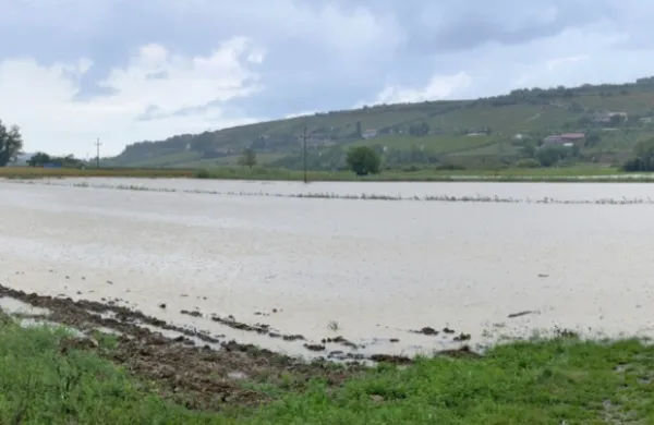 Vanganelska dolina je bila eno samo jezero.