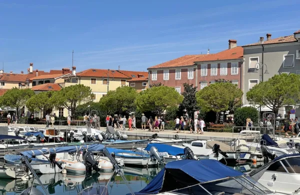 Organizirana skupina sprehajalcev med ogledom Sončnega nabrežja