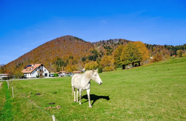 Začenja se meteorološka jesen.