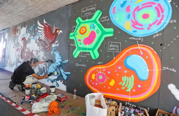 V sklopu Street Art Festa so pred leti poslikali tudi podhod pri 
koprskem mandraču.