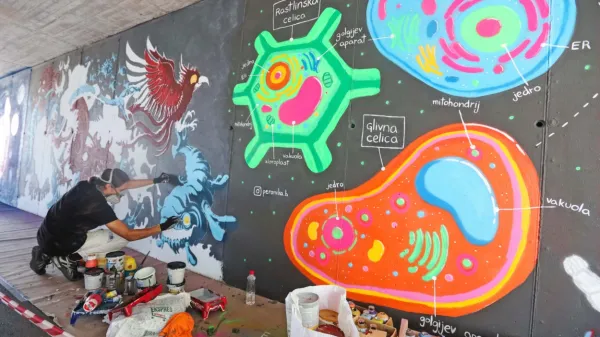 V sklopu Street Art Festa so pred leti poslikali tudi podhod pri 
koprskem mandraču.