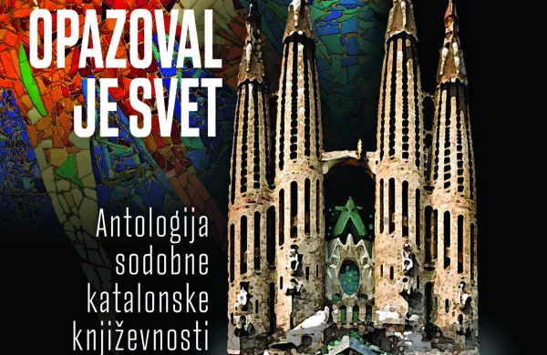 Rdeči nagelj, ki kljubuje sredi razbitin