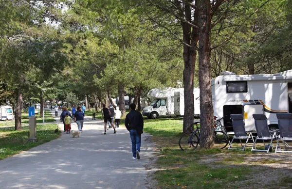 Največji izziv predstavljajo zemljišča na območju kampa Adria. Po novem prostorskem načrtu je to območje namenjeno družbenim dejavnostim, kjer naj bi se razvijala občinska infrastruktura.