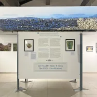 Uvodni del razstave Gradišča, kamniti temelji. 