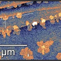Začetna faza pri pripravi enomolekulske plasti organskega polprevodnika, ki bo 
služila kot aktivna plast elektronskega stikala - tranzistorja. Slika je narejena z 
mikroskopom na atomsko silo. Svetlejša območja predstavljajo približno 3 nanometre debelo plast molekul pentacena. Foto: Egon Pavlica