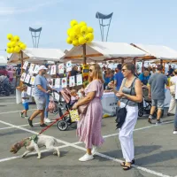 (FOTO) Raj za ljubitelje sladkega na Sladki Istri v Kopru