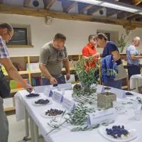 (FOTO) Picholine so premagale štorte