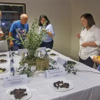 (FOTO) Picholine so premagale štorte