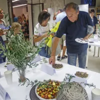 (FOTO) Picholine so premagale štorte