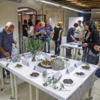 (FOTO) Picholine so premagale štorte