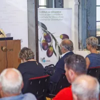 (FOTO) Picholine so premagale štorte