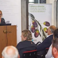 (FOTO) Picholine so premagale štorte