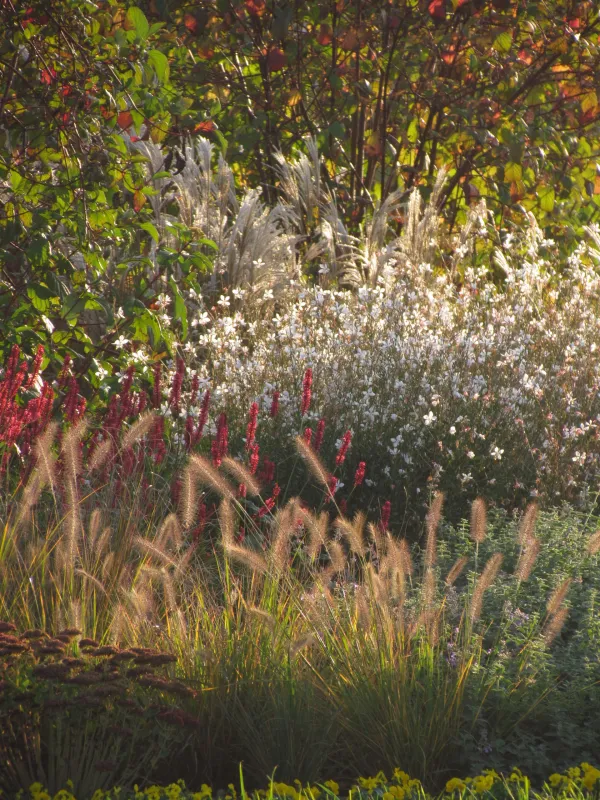 Kaj jeseni rezati v okrasnem vrtu