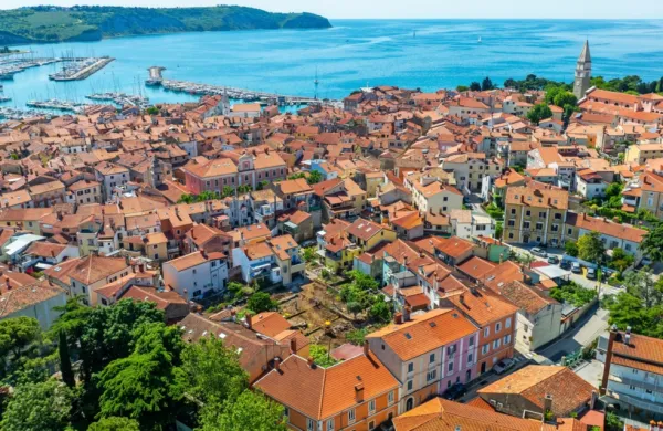 Novi zeleni kotiček (spodaj, v sredini) bo prispeval k preobrazbi in 
revitalizaciji starega mestnega jedra, zmanjšanju učinka toplotnih 
otokov ter  k boljši kakovosti življenja.