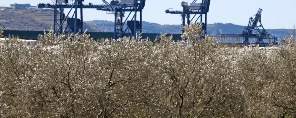 Suverenost se začne na krožniku