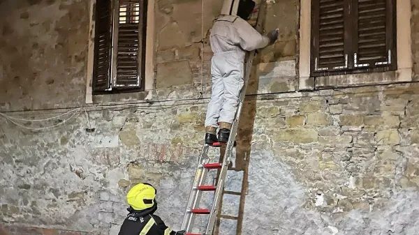 Koprski poklicni gasilci so najprej oblekli zaščitna oblačila, nato 
pa so se po lestvi povzpeli do vhoda gnezda.



