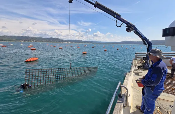 Zavod YouSea je v Piranskem zalivu na morsko dno namestil že 
drugo umetno podvodno strukturo. 