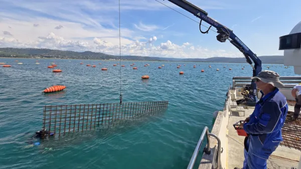 Zavod YouSea je v Piranskem zalivu na morsko dno namestil že 
drugo umetno podvodno strukturo. 