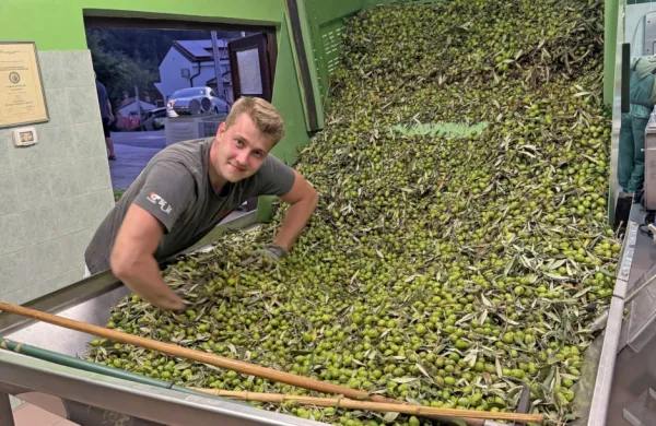 Vid Babič se mora skupaj z bratom Rokom pripraviti na dva 
meseca nočnega dela v družinski oljarni.