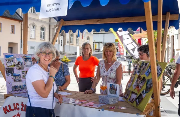 Bu&scaron;ka izba z idejami, ki postajajo skupnost