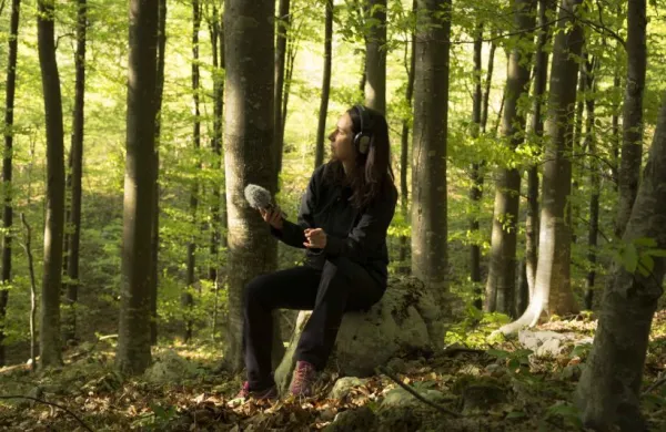 Martina Testen se je s projektom Early Mornings in Mejak Forest uvrstila med najboljše avdiovizualne umetnike zadnjega desetletja