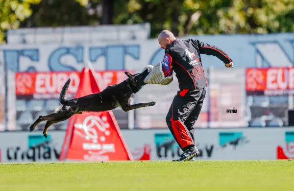 Na svetovnem prvenstvu šolanih nemških ovčarjev skoraj 200 tekmovalcev iz 39 držav