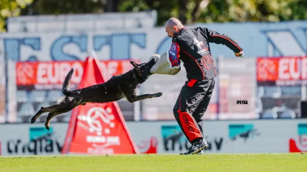 Na svetovnem prvenstvu šolanih nemških ovčarjev skoraj 200 tekmovalcev iz 39 držav