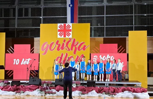 ﻿dobrodelna prireditev Goriška dlan Goirška območna karitas