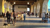 koper, cetrtna festa