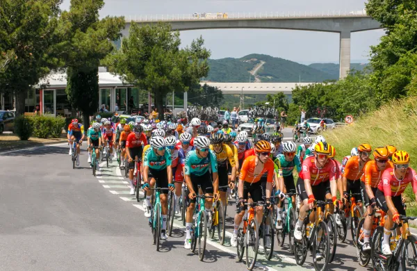 Spomladi znova v Istro in Brda