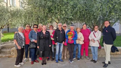 Ob rožnatem oktobru so debla dreves objele rožnate preje