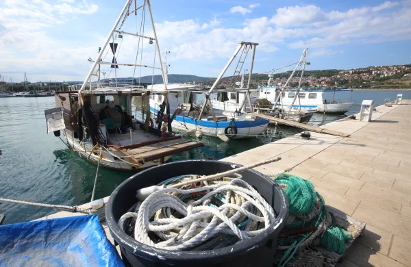 Koper, 12.07.2022Ribi&scaron;ki pomol, ribi&scaron;ke barke,