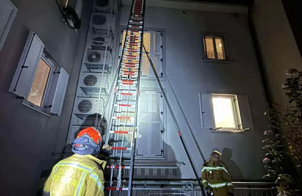 Koprski gasilci uničili 15 sršenjih gnezd