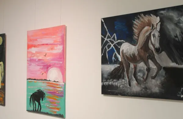 KS Solkan, Doma na Krasu