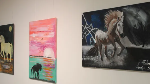 KS Solkan, Doma na Krasu