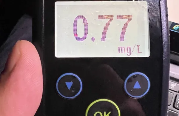 Pijan čelno treščil v drevo